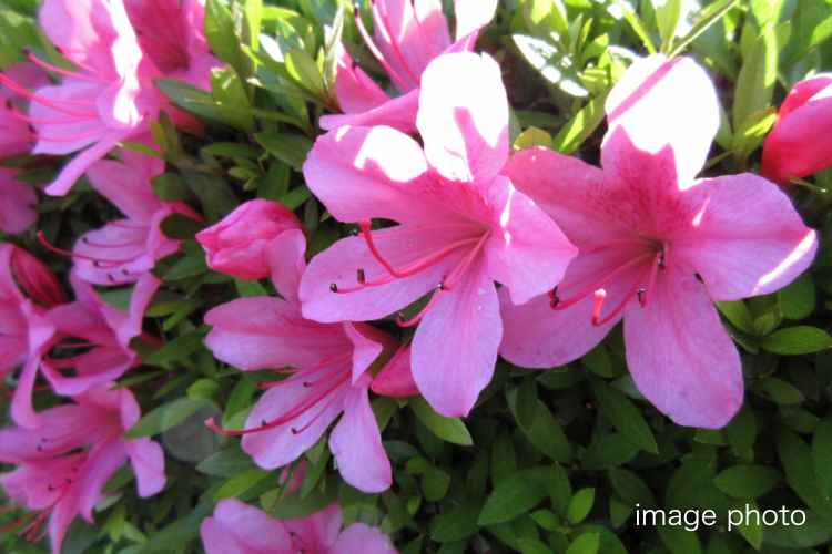 シティタワー高輪_ランドスケープ画像16